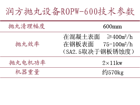 AGʱ豸ROPWϵ ROPW-600